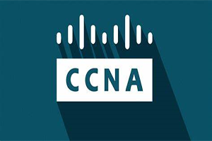 CCNA Classroom Streamlined Notes (2)