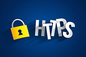 What is encrypted by HTTPS?