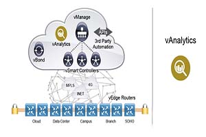 One minute to understand EI CCIE SD-WAN and vAnalytics