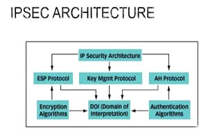 How does the IPSec protocol ensure network security?